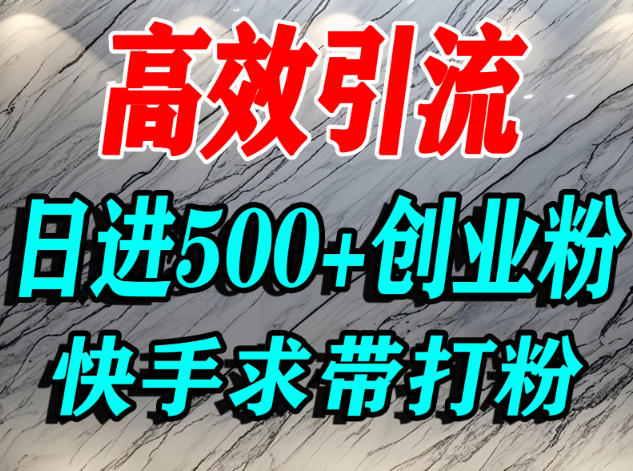 怎么打创业粉?快手求带视角精准引流创业粉,宝妈、学生群体日进500+精准流量-创新社-资源网-最新项目分享网站