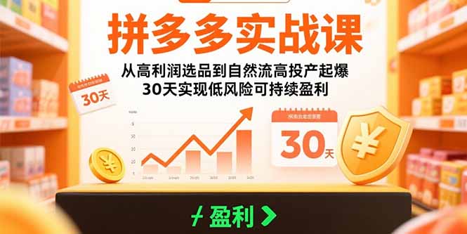 拼多多实战课：从高利润选品到自然流高投产起爆 30天实现低风险可持续盈利-创新社-资源网-最新项目分享网站