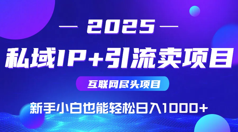 2025网创尽头项目，私域IP+引流，新手小白也能在家日入1000+-创新社-资源网-最新项目分享网站
