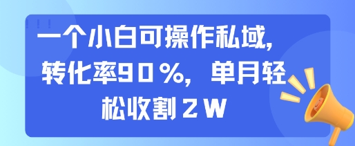 一个小白可操作私域，转化率90%，单月轻松收割2W-创新社-资源网-最新项目分享网站