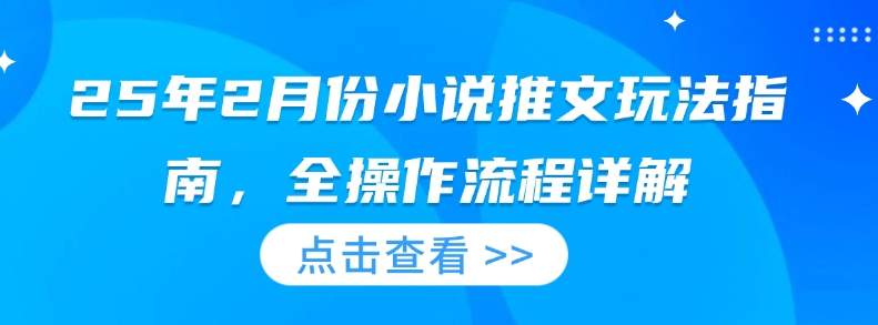 25年2月份小说推文玩法指南，全操作流程详解-创新社-资源网-最新项目分享网站