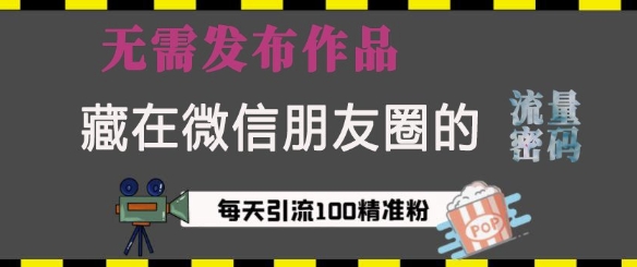 藏在微信朋友圈的流量密码，无需发布作品，单日引流100+精准创业粉【揭秘】-创新社-资源网-最新项目分享网站