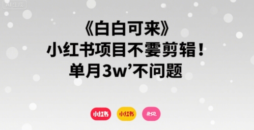 小白可来 小红书项目不需要剪辑 单月3w不是问题-创新社-资源网-最新项目分享网站