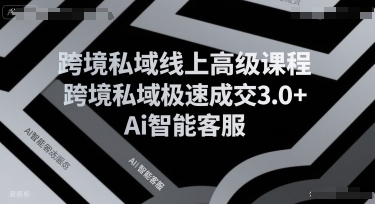 跨境私域线上高级课程，跨境私域极速成交3.0+Ai智能客服-创新社-资源网-最新项目分享网站