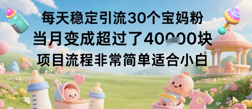 每天稳定引流30个宝妈粉当月变成超过了1W+项目流程非常简单适合小白-创新社-资源网-最新项目分享网站