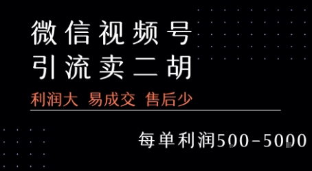 视频号卖二胡教程，利润大 易成交 售后少，一单利润5张+-创新社-资源网-最新项目分享网站
