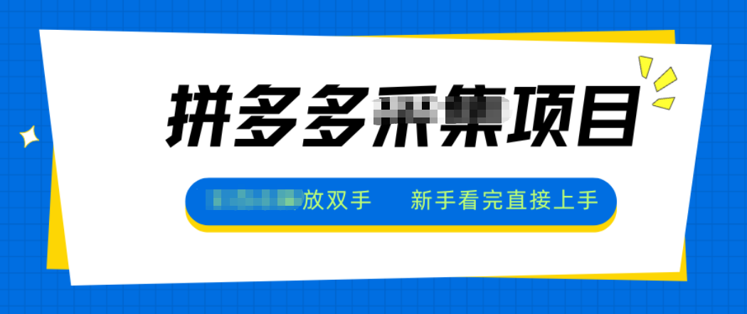 拼多多电商采集，一小时50+，操作简单，零投资-创新社-资源网-最新项目分享网站