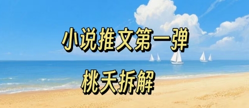 小说推文项目操作全流程第一弹，0粉就能做，门槛低非常适合新手-创新社-资源网-最新项目分享网站
