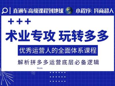 术业专攻玩转多多，优秀运营人的全面体系课程，解析拼多多运营底层必备逻辑-创新社-资源网-最新项目分享网站