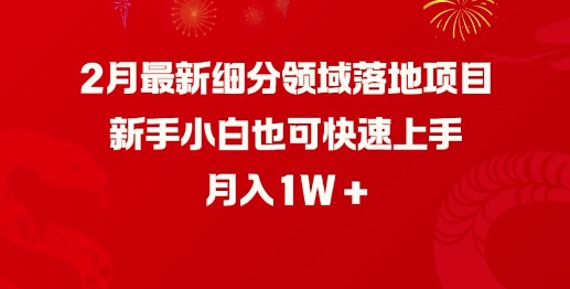 2月最新细分领域落地项目，新手小白也可快速上手，月入1W-创新社-资源网-最新项目分享网站