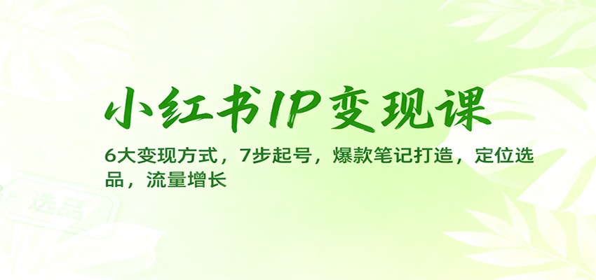 小红书IP变现课：6大变现方式，7步起号，爆款笔记打造，定位选品，流量增长-创新社-资源网-最新项目分享网站