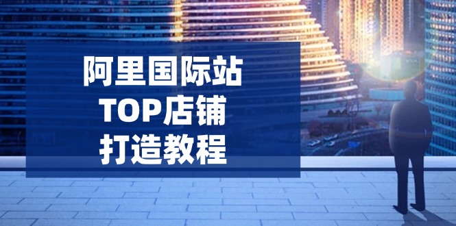 阿里国际站TOP店铺打造教程：涵盖平台到高阶，解决运营难题，提升询盘-创新社-资源网-最新项目分享网站