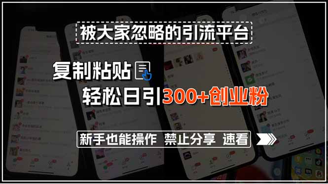 被大家忽略的引流平台，复制粘贴轻松日引300+创业粉，新手也能操作，禁…-创新社-资源网-最新项目分享网站