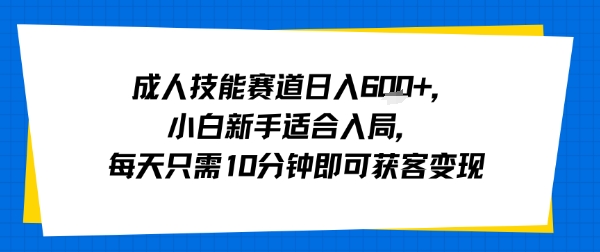 成人技能赛道日入多张，小白新手适合入局，每天只需10分钟即可获客变现-创新社-资源网-最新项目分享网站