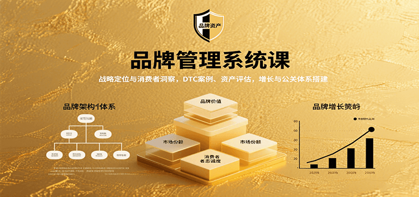 品牌管理系统课：战略定位与消费者洞察，DTC案例、资产评估，增长与公关体系搭建-创新社-资源网-最新项目分享网站