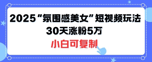 不露脸也能火！2025“氛围感美女”短视频玩法，30天涨粉5W小白可复制-创新社-资源网-最新项目分享网站
