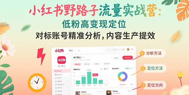 小红书野路子流量实战营：低粉高变现定位 对标账号精准分析 内容生产提效-创新社-资源网-最新项目分享网站