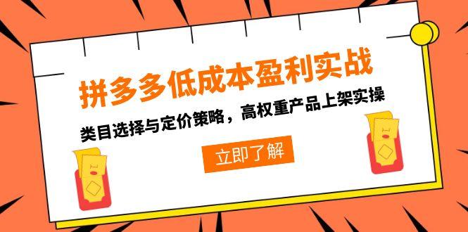 拼多多低成本盈利实战，类目选择与定价策略，高权重产品上架实操-创新社-资源网-最新项目分享网站