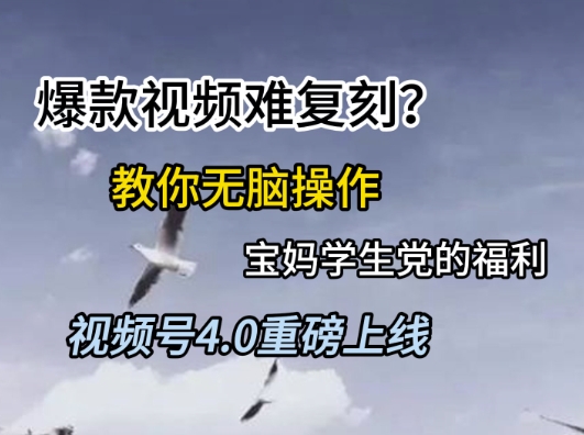 视频号4.0重磅上线，爆款视频难复刻？教你无脑操作宝妈学生党的福利【揭秘】-创新社-资源网-最新项目分享网站