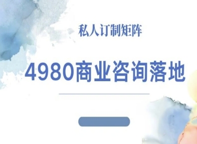 4980商业咨询师落地课程-ip运营高客单教程-创新社-资源网-最新项目分享网站