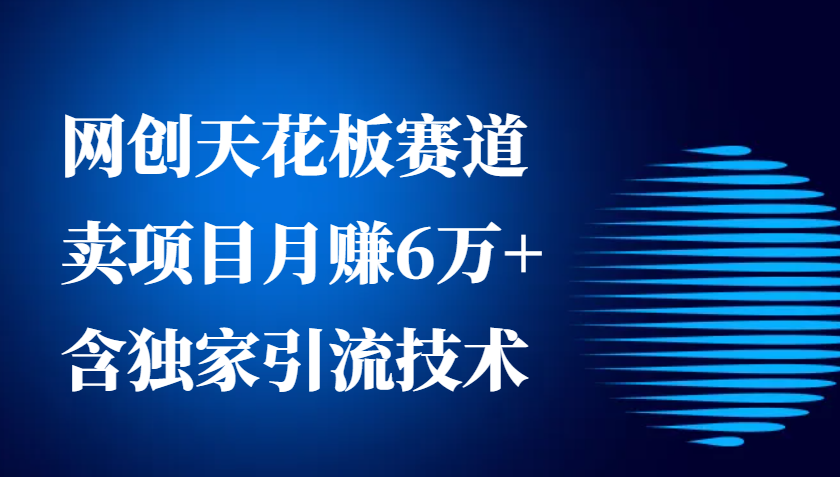 网创天花板赛道，卖项目月赚6万+，含独家引流技术(共26节课)-创新社-资源网-最新项目分享网站