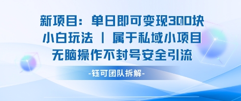 新项目单日即可变现3张的小白玩法无脑操作不封号安全引流-创新社-资源网-最新项目分享网站