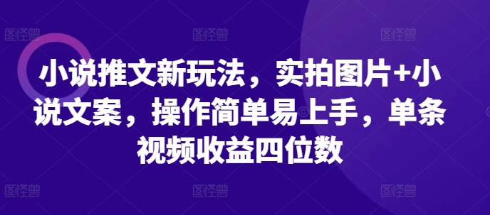 小说推文新玩法，实拍图片+小说文案，操作简单易上手，单条视频收益四位数-创新社-资源网-最新项目分享网站