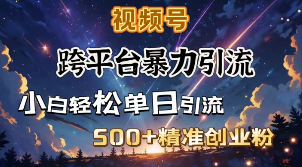 跨平台暴力引流，私域完美闭环，日引500+精准创业粉-创新社-资源网-最新项目分享网站