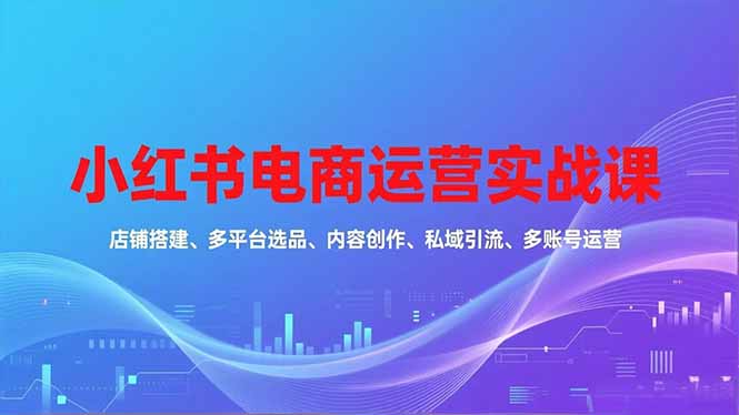 小红书电商运营实战课,店铺搭建、多平台选品、内容创作、私域引流、多账号运营等玩法-创新社-资源网-最新项目分享网站