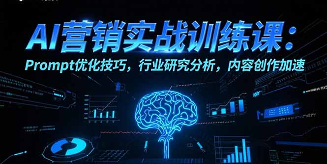 AI营销实战训练课：Prompt优化技巧，行业研究分析，内容创作加速-创新社-资源网-最新项目分享网站