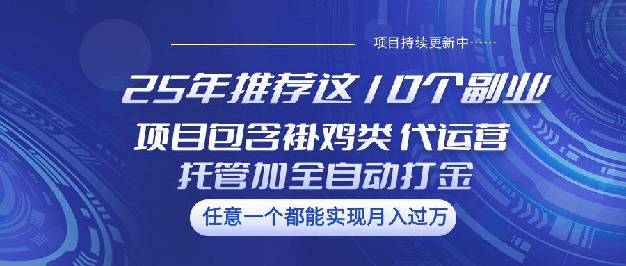 25年推荐这10个副业 项目包含褂鸡类、代运营托管类、全自动打金类-创新社-资源网-最新项目分享网站