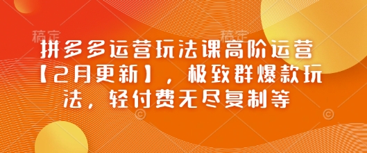 拼多多运营玩法课高阶运营【2月更新】，极致群爆款玩法，轻付费无尽复制等-创新社-资源网-最新项目分享网站