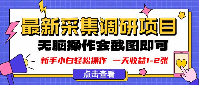 新版采集调研项目，截图上传即可，无脑操作，日收益1-2张-创新社-资源网-最新项目分享网站
