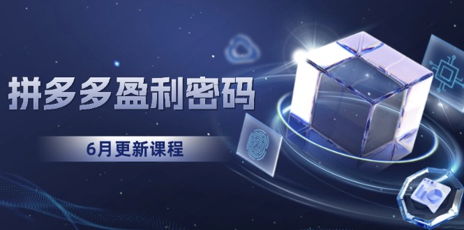 拼多多盈利密码：从烧钱推广到印钞模型，底层逻辑重构指南(6月更新-创新社-资源网-最新项目分享网站