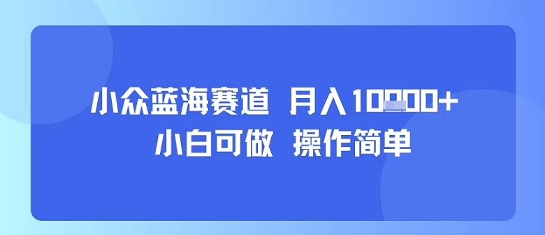 小众蓝海赛道，小白可做，操作简单，每天30分钟，月入1W+-创新社-资源网-最新项目分享网站