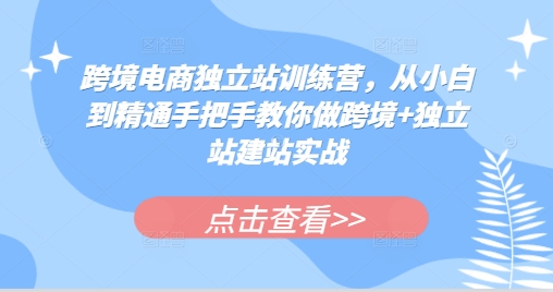 跨境电商独立站训练营，从小白到精通手把手教你做跨境+独立站建站实战-创新社-资源网-最新项目分享网站
