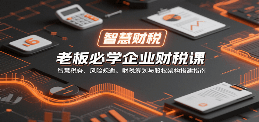 老板必学企业财税课：智慧税务、风险规避、财税筹划与股权架构搭建指南-创新社-资源网-最新项目分享网站