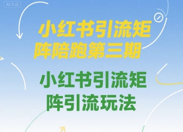 小红书引流矩阵陪跑第三期，小红书引流矩阵引流玩法-创新社-资源网-最新项目分享网站