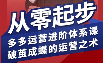 拼多多运营进阶系统课，从零起步，多多运营进阶体系课，破茧成蝶的运营之术-创新社-资源网-最新项目分享网站