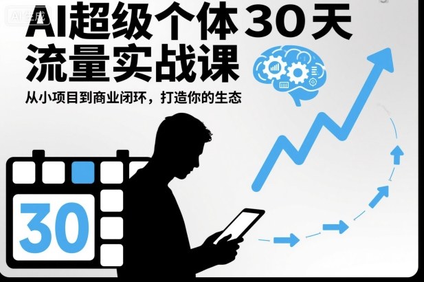 AI超级个体30天流量实战课，从小项目到商业闭环，打造你的生态-创新社-资源网-最新项目分享网站