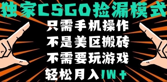 CSGO自动捡漏项目，最新独家玩法，不是美区搬砖，不需要了解和玩游戏，新手小白轻松月入1W+【揭秘】-创新社-资源网-最新项目分享网站