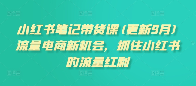 小红书笔记带货课(更新25年6月)流量电商新机会，抓住小红书的流量红利-创新社-资源网-最新项目分享网站