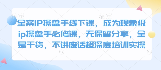 全案IP操盘手线下课，成为现象级ip操盘手必修课，无保留分享，全是干货，不讲废话超深度培训实操-创新社-资源网-最新项目分享网站