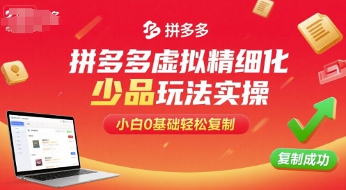 拼多多虚拟精细化少品玩法实操，小白0基础轻松复制-创新社-资源网-最新项目分享网站