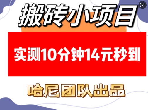 搬砖小项目，实测10分钟14元秒到，每天稳定几张(赠送必看稳定)-创新社-资源网-最新项目分享网站