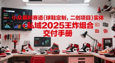 小众暴利赛道(球鞋定制，二创项目)实体+私域2025王炸组合  交付手册-创新社-资源网-最新项目分享网站