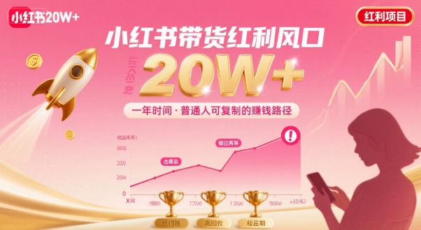 一年时间靠小红书带货项目年入20w+，最不能错的大红利项目-创新社-资源网-最新项目分享网站