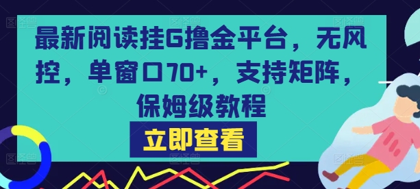 最新阅读挂G撸金平台，无风控，单窗口70+，支持矩阵，保姆级教程【揭秘】-创新社-资源网-最新项目分享网站