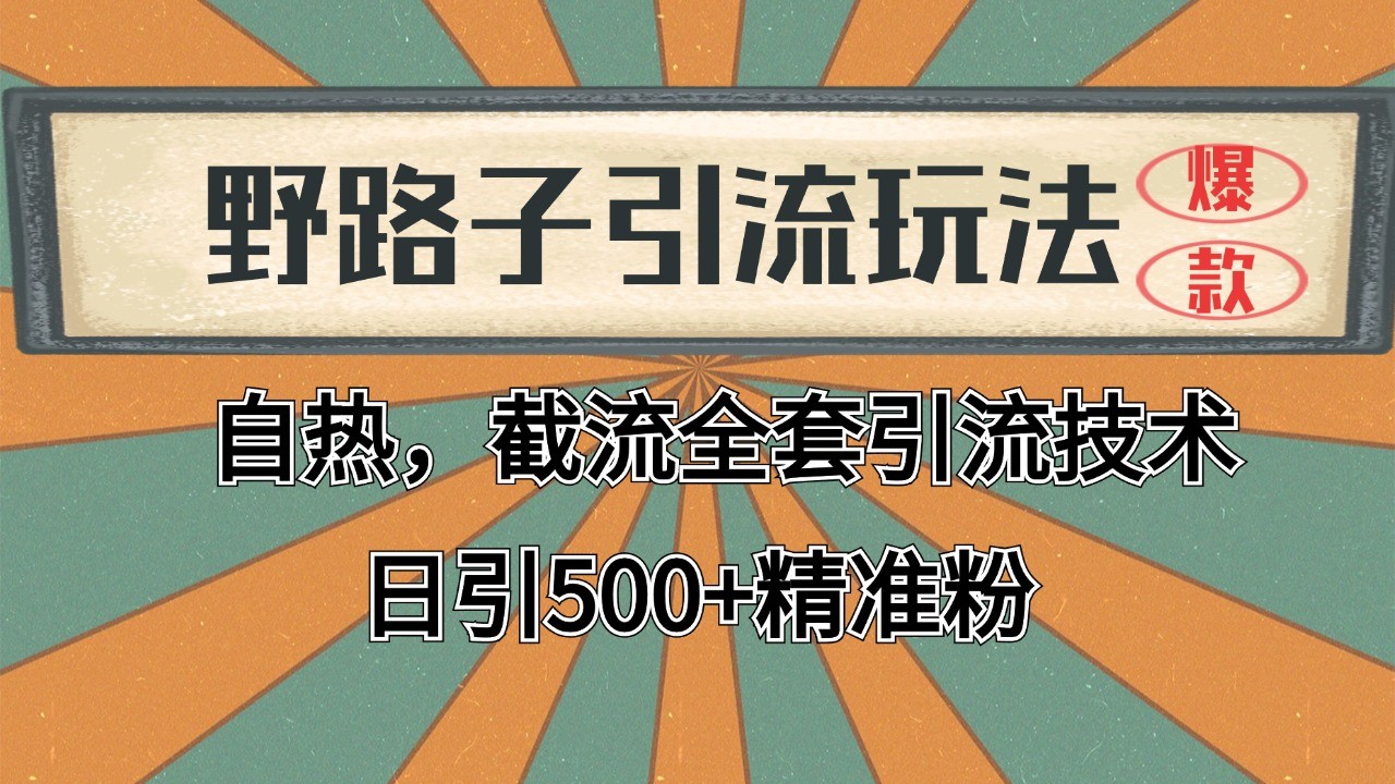 2024首发野路子引流玩法截流自热全平台打法，全自动引流【日引2000+精准客户】-创新社-资源网-最新项目分享网站