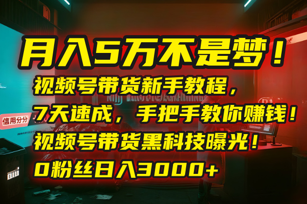 月入5万不是梦！视频号带货新手教程，7天速成，手把手教你赚钱！视频号…-创新社-资源网-最新项目分享网站